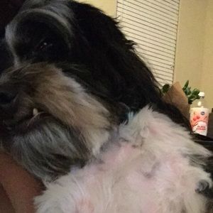 Meet your Posher, Breanna